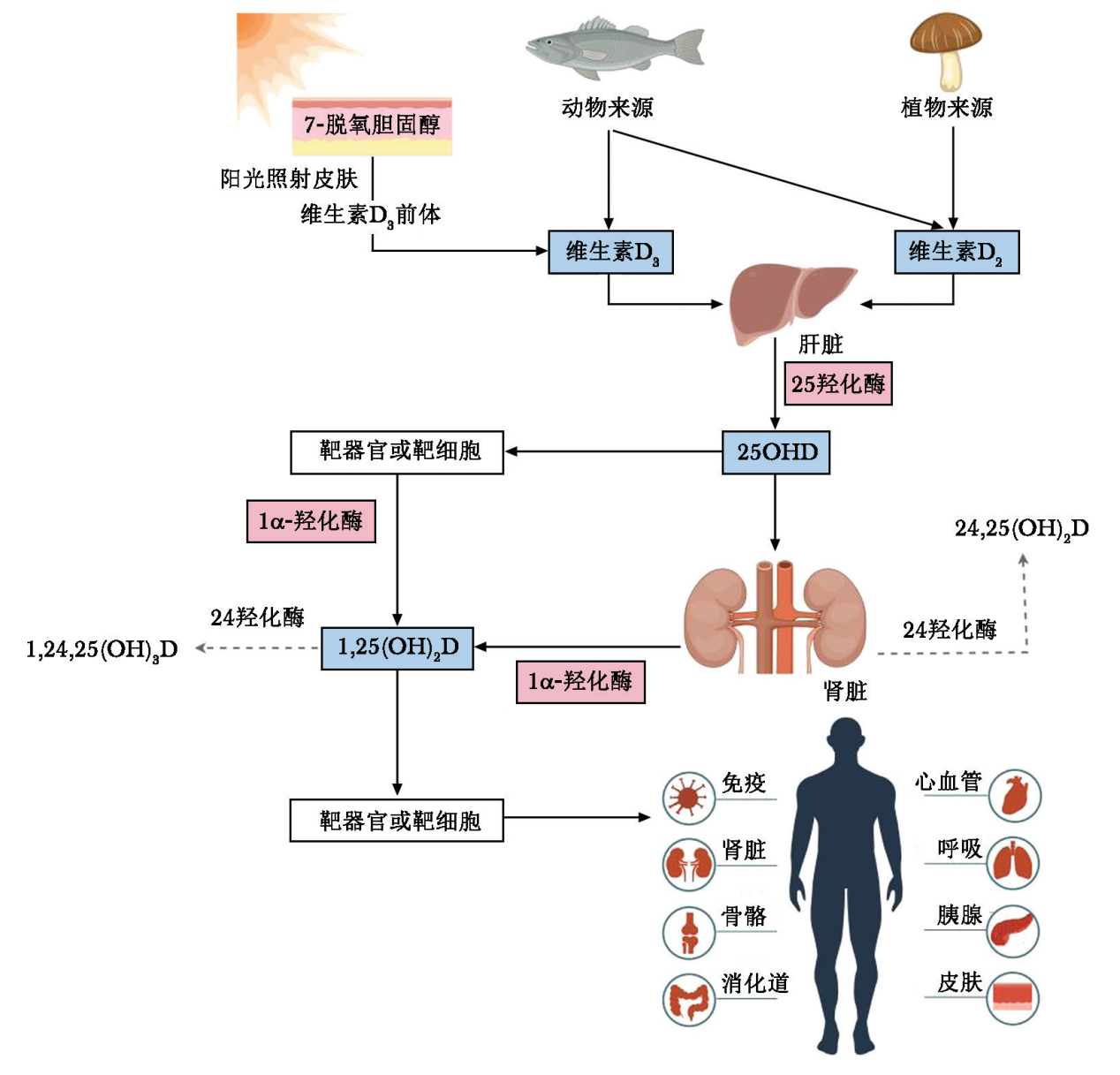 图片36.png