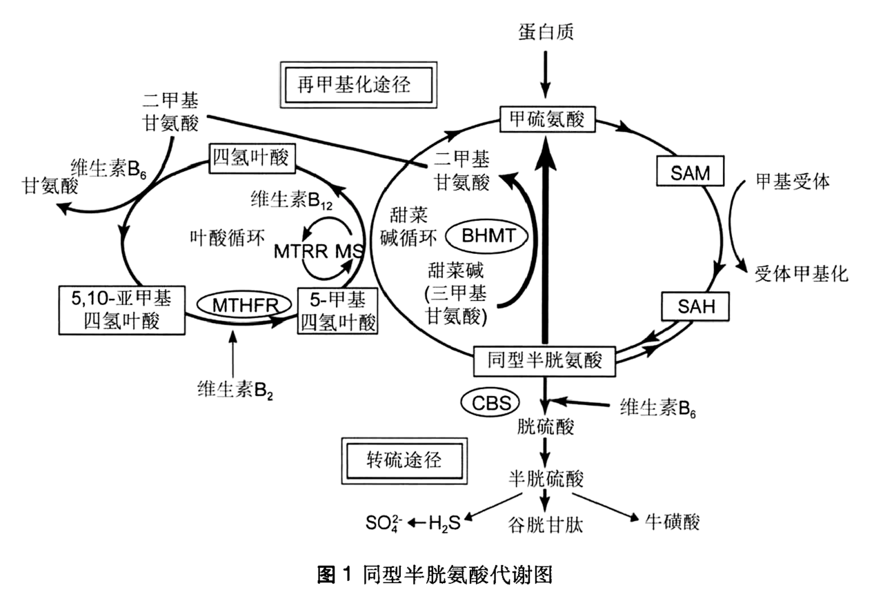 1771910232567078001.png 图片4.png